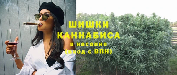 прущие грибы Нязепетровск