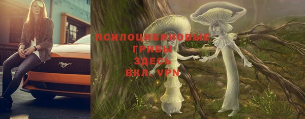 марки nbome Новодвинск