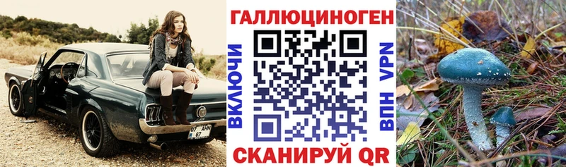KRAKEN ТОР  Белая Холуница  Галлюциногенные грибы мухоморы 